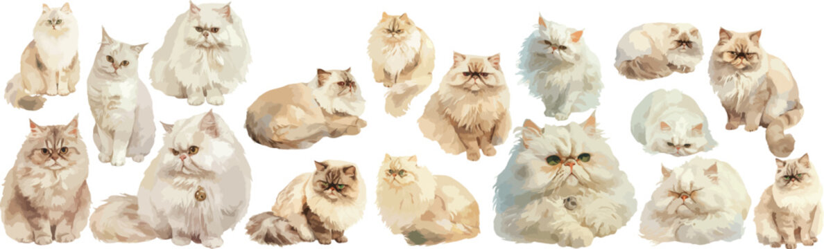 persian cat watercolor clipart 