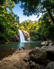 Obraz premium Waterfall in Lush Rainforest