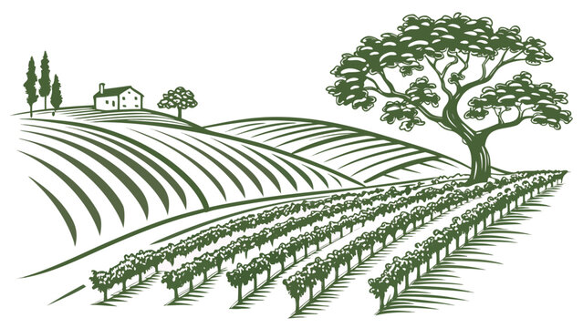 Stylized green illustration of rolling hills with vineyards and a farmhouse under a large tree