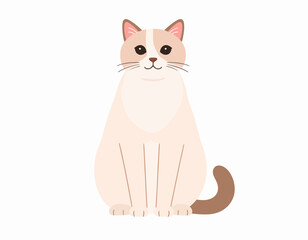 Obraz premium Cute Cream-Colored Cat Sitting Pose.