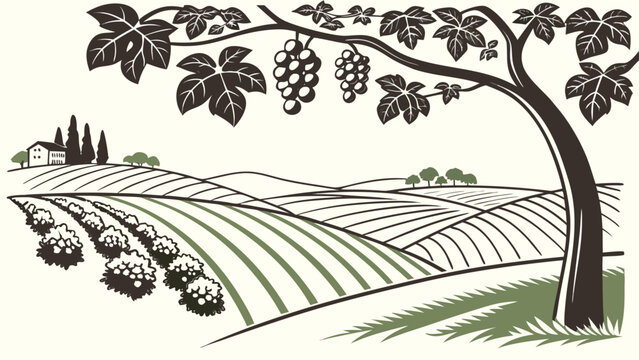 Stylized illustration of a tuscan vineyard with rolling hills grapevines and a rustic farmhouse under a clear sky