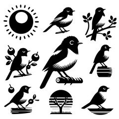 Collection of stylized bird illustrations in various poses and settings in black and white vector format