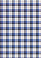 A close-up of a blue and white checkered gingham pattern on a seamless picnic tablecloth fabric