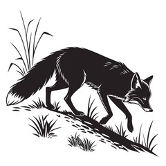 wolf black and white