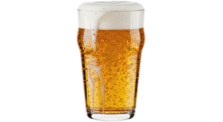 Isolated Pint of Beer