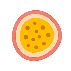 Fototapeta premium Passing fruit 