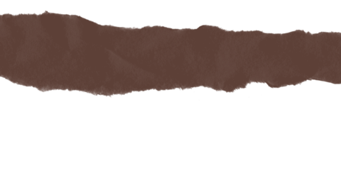 A simple image showing a brown horizontal shape against a black background with a rough edge detail