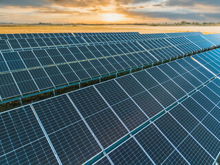 Rows of solar panels in evening light