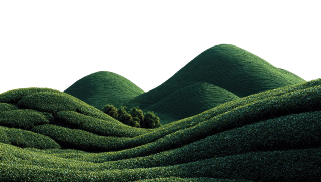 Lush green hills stretch into the distance, a serene landscape