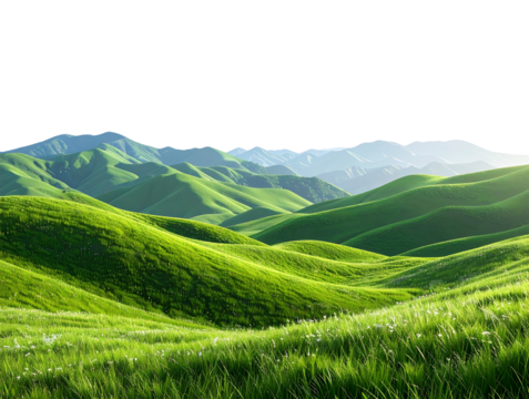  Realistic 3D Meadow Landscape with Layered Grass and Distant Hills, Transparent Background