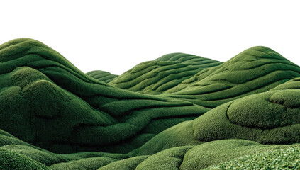 Lush green hills undulating in a landscape
