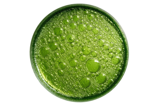 Close-up of a vibrant green liquid, textured with numerous small bubbles