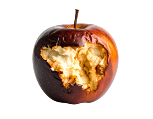 Rotten Apple Isolated on Transparent or White Background