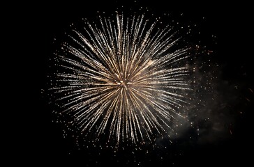 A fireworks display in the night sky, with white and gold colors against a simple black background