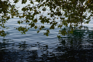 Evian, lac Léman, rives du lac