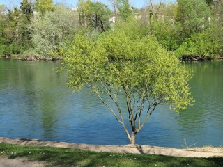 Marne