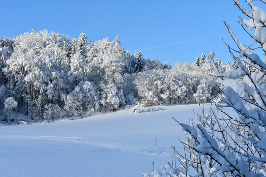 Ein Wanderweg liegt unter einer dicken Schneedecke im Kanton Aargau vor einem winterlichen Wald