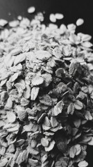 Close-up view of monochrome oatmeal flakes showcasing texture and detail