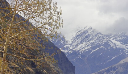 panoramic view of snowcapped himalaya mountains and beautiful countryside area of sissu village in...
