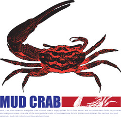 Orange Crab Logo Design Seafood Restaurant Brand Identity Template Marine Shellfish Crustacean Vector Illustration Typography Blue Text Business Branding Menu Design Nautical Vintage Grunge Style