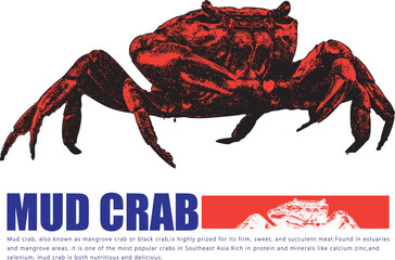 Orange Crab Logo Design Seafood Restaurant Brand Identity Template Marine Shellfish Crustacean Vector Illustration Typography Blue Text Business Branding Menu Design Nautical Vintage Grunge Style