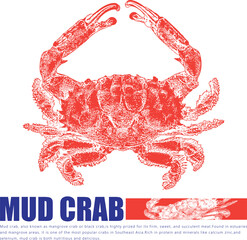 Orange Crab Logo Design Seafood Restaurant Brand Identity Template Marine Shellfish Crustacean Vector Illustration Typography Blue Text Business Branding Menu Design Nautical Vintage Grunge Style