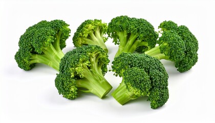 broccoli on a white background