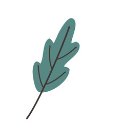 Leaf vector flat illustration, autumn leaves