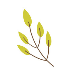 Leaf vector flat illustration, autumn leaves