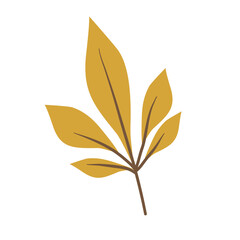 Leaf vector flat illustration, autumn leaves