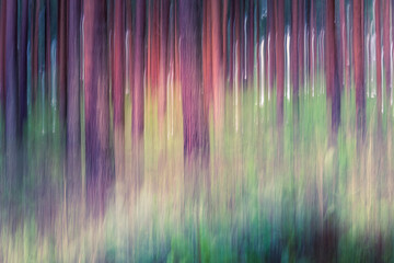An artistic impression of a forest created using intentional camera movement, blending tree trunks...