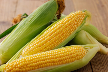 とうもろこし　Sweet Corn