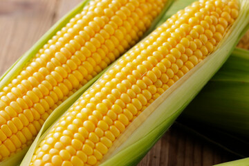 とうもろこし　Sweet Corn