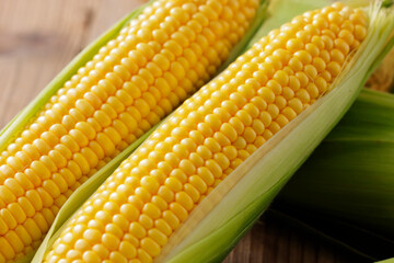 とうもろこし　Sweet Corn