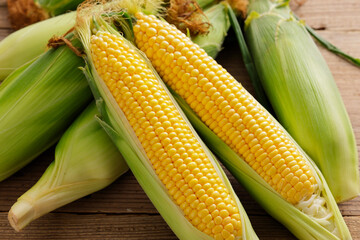 とうもろこし　Sweet Corn