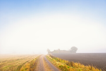 Gravel road across the fields on a plain a foggy autumn morning