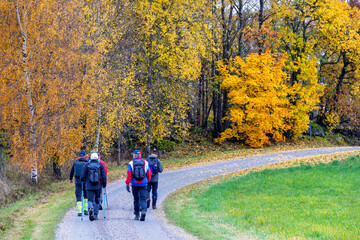 Fototapeta premium Group of hikers walking on a gravel road autumn day with colorful foliage