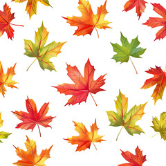 Obraz premium Autumnal maple leaves pattern on black background