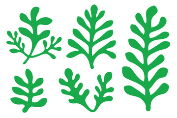 Bright green seaweed shapes exhibit organic textures against a stark white backdrop, displaying botanical diversity