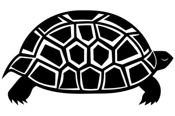 A vector illustration of a cute, slow walking turtle with a detailed shell, isolated on a clean white background