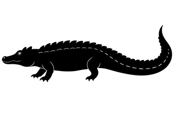 Fototapeta premium Lizard, gecko, or small newt, isolated on a white background, in a studio close-up shot of the animal's eye and tail