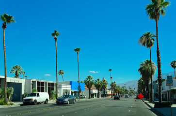 Palm Springs Main Street Palm Trees Commercial District