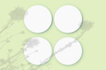 Natural light casts shadows from wildflowers on 4 round sheets of white textured paper lying on a green textured background. Mockup