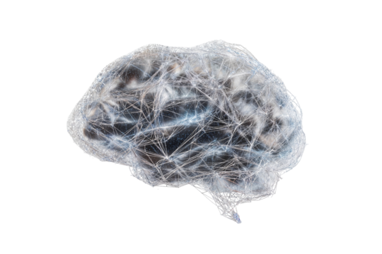 Futuristic digital neural network concept with abstract brain connections and technology elements on transparent background