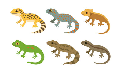 Obraz premium Colorful gecko set with six unique reptile designs in flat style