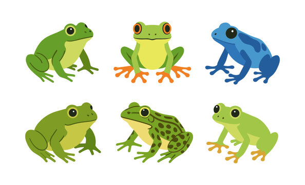 Colorful frogs collection: diverse amphibians in flat illustration style