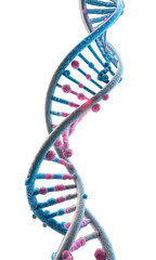 dna strand on white background