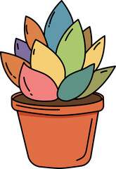 Colorful succulent plant in a terra cotta pot. Houseplant for home decoration and gardening concept. Indoor botanical element.