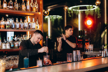 Bartenders Crafting Drinks in a Stylish Modern Bar Setting