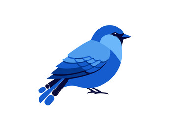 Fototapeta premium A small blue bird with feathers of various shades sitting on a white background